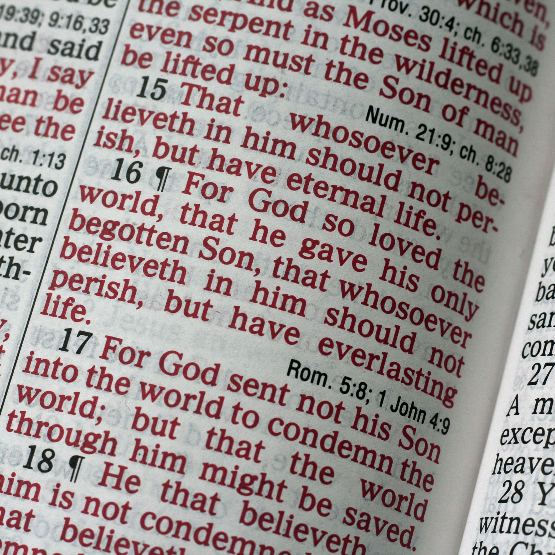 Scripture from John 3